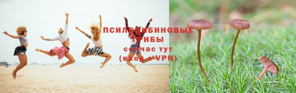 ALPHA-PVP Алексин